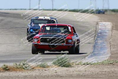 media/May-19-2024-VARA (Sun) [[bc1adde764]]/Group 5/Race (Outside Grapevine)/